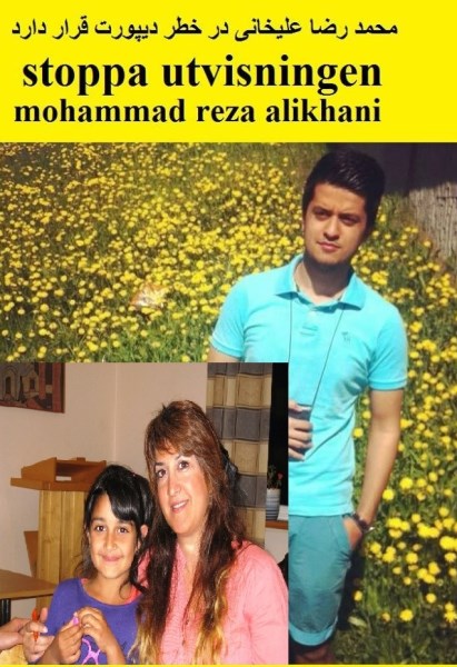 mohammadreza 1 411 x 600